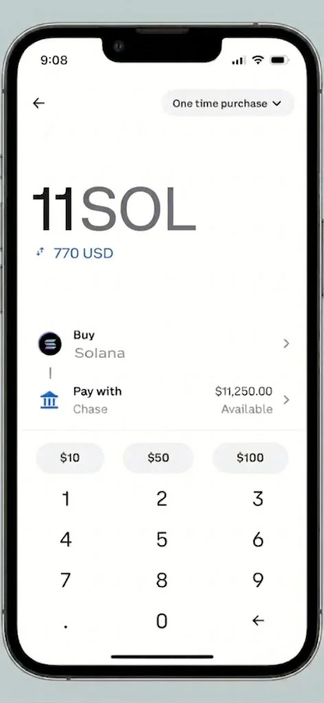 11 SOL purchase entry