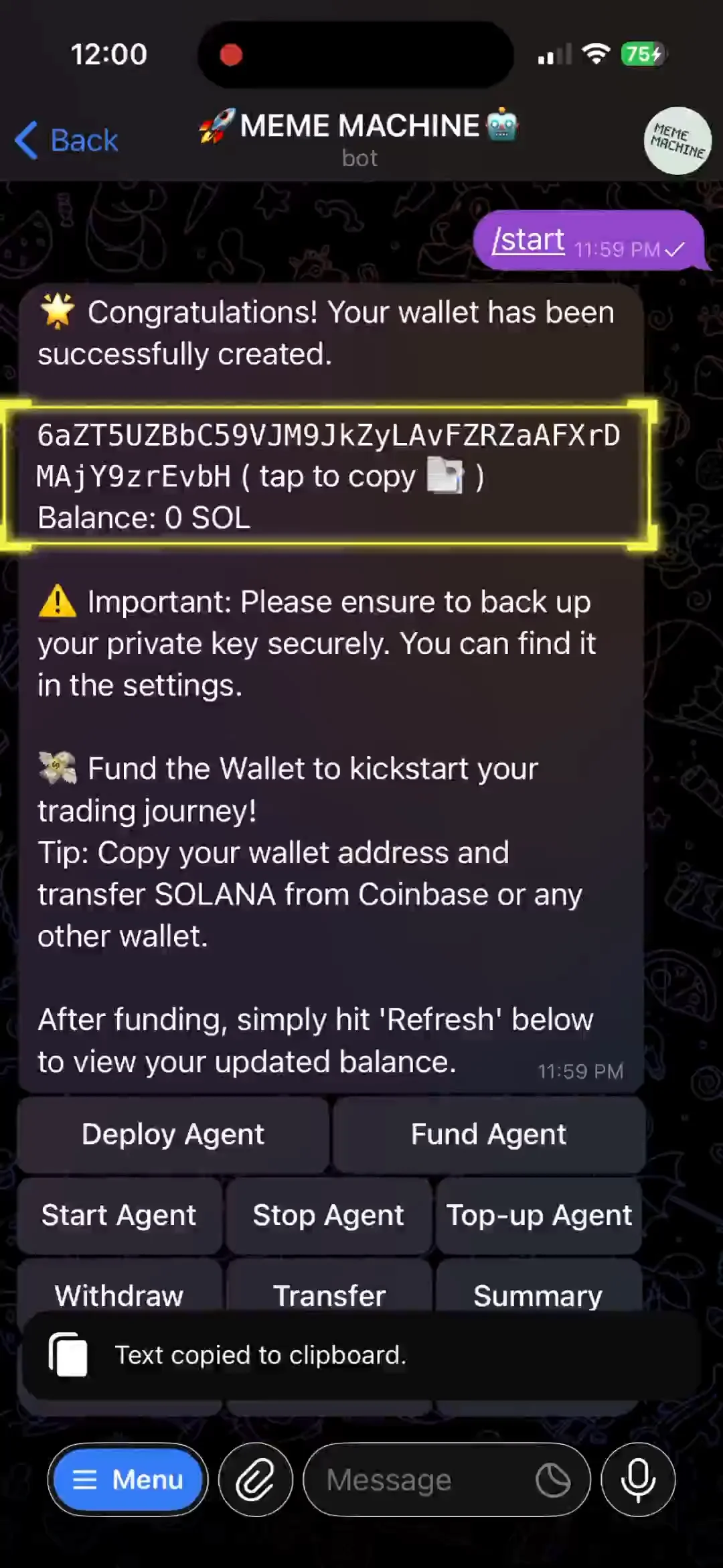 Agent wallet address display